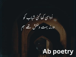 shero shayari