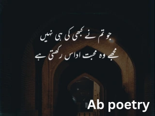 shero shayari