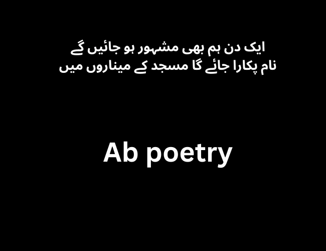 Best Attitude Poetry in Urdu