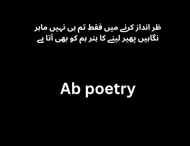 Best Attitude Poetry in Urdu