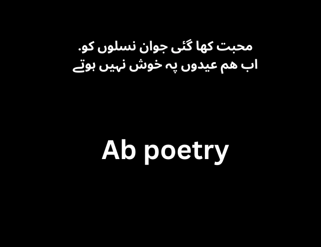 Best Attitude Poetry in Urdu