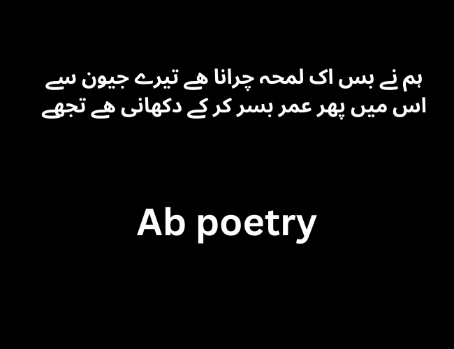 Best attitude poetry in Urdu